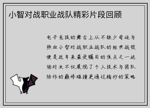 小智对战职业战队精彩片段回顾